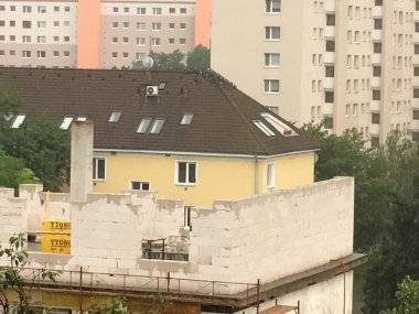 Otvorený list ohľadne premnožených holubov