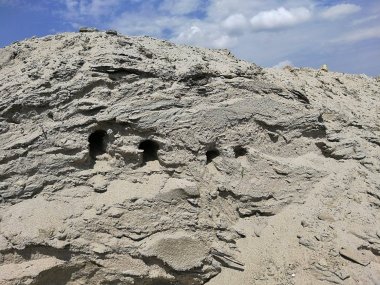 Spevnená hrádza Vtáčieho ostrova prilákala vzácne brehule Spevnená hrádza Vtáčieho ostrova prilákala vzácne brehule