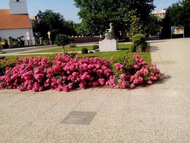 Foto čitateľky: Pozrite sa, aký je pekný Šamorín