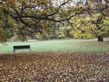 Foto čitateľky: Krása jesenného parku