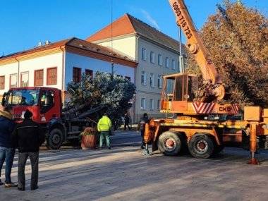 Mestský vianočný strom dorazil na Hlavné námestie