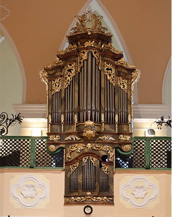 organ2